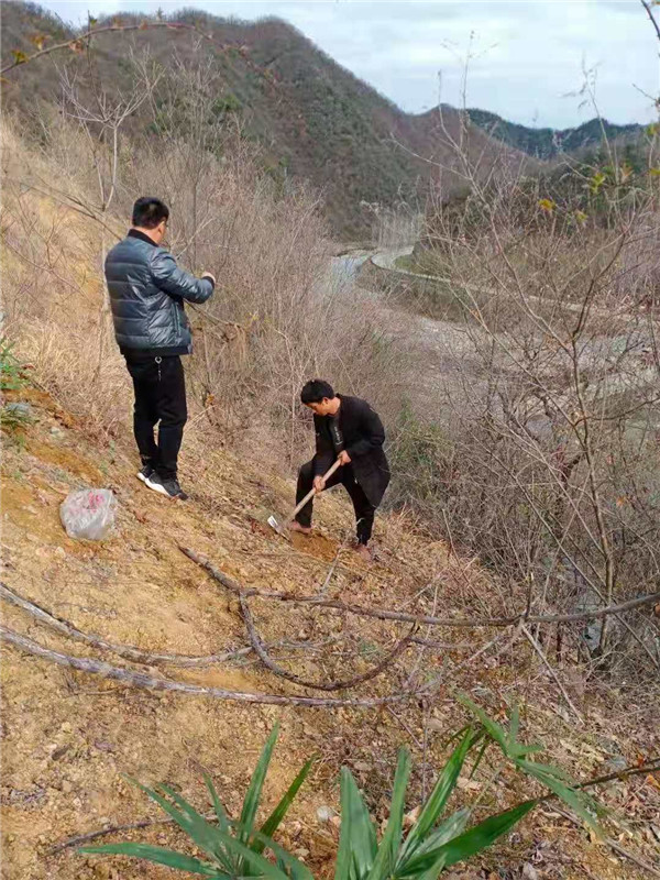 &#113;&#121;&#29699;&#21451;&#20250;&#45;&#40;&#21315;&#20159;&#41;&#95;&#23448;&#26041;&#32593;&#31449;